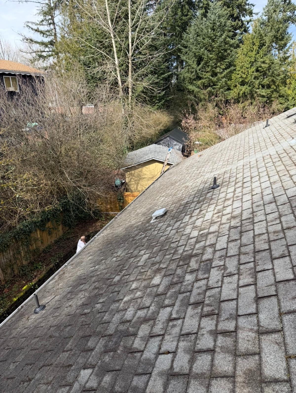 Same roof after professional soft-wash cleaning