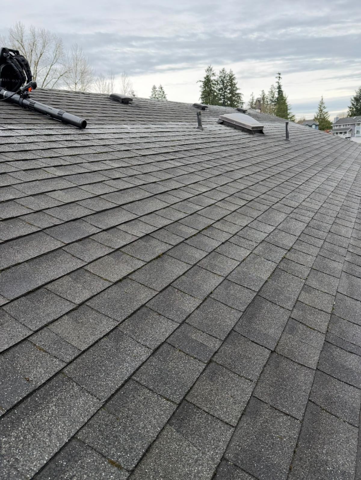 Clean shingles after soft-wash treatment